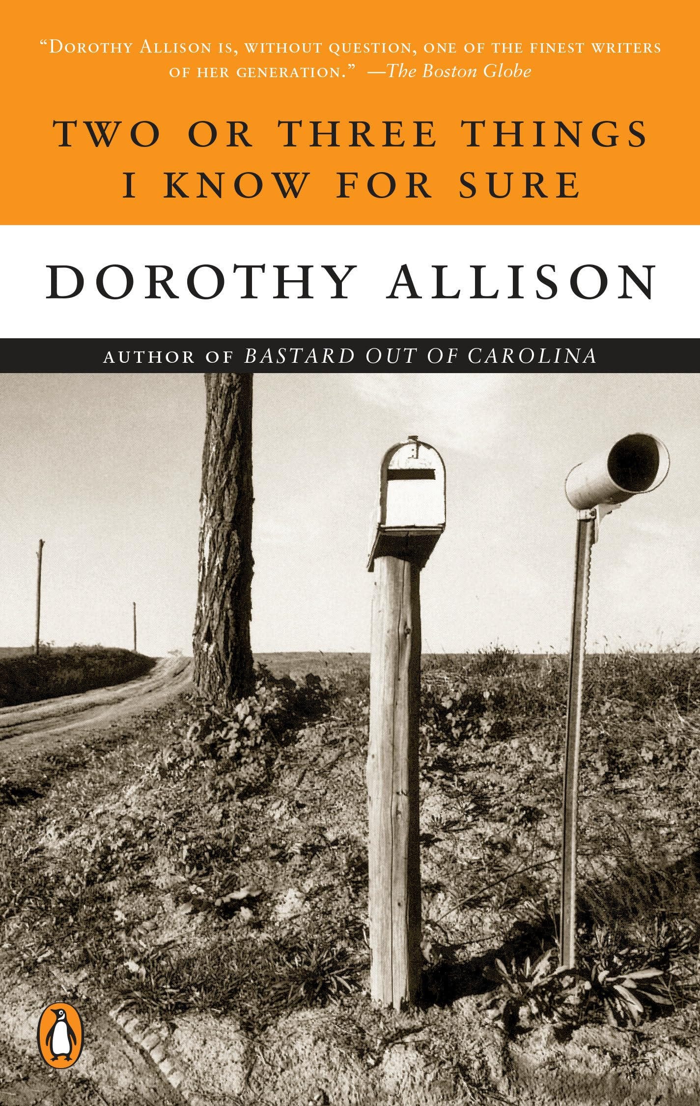 Two or Three Things I Know for Sure: Allison, Dorothy: 9780452273405:  Amazon.com: Books