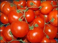 tomatoes tomatoes