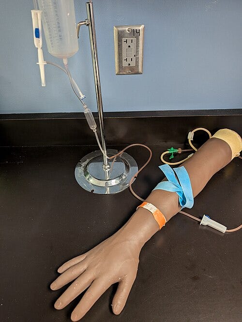 File:Phlebotomy training arm.jpg