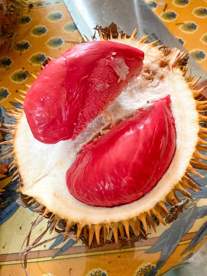 durian otak red