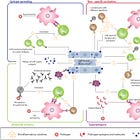 Growing evidence suggests an autoimmune response post-COVID infection and COVID vaccination.