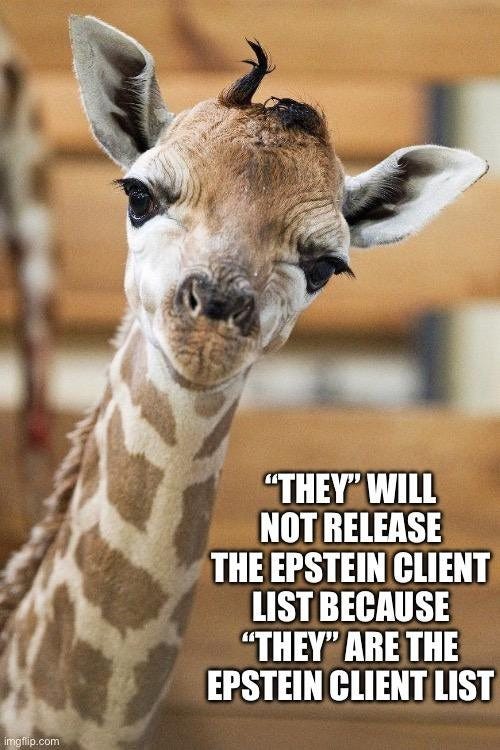 May be an image of text that says '"THEY" WILL NOT RELEASE THE EPSTEIN CLIENT LIST BECAUSE "THEY" ARE THE EPSTEIN CLIENT LIST ngfiip. com'