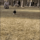 All The News Happened All At Once! Tabs For Friday, Sept. 20, 2024