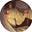 Ellen Scott's avatar
