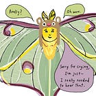 How I made my student cry (happy tears)
