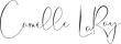 Camille’s Substack