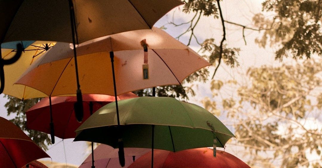 assorted umbrellas hanging on brown tree branch during daytime