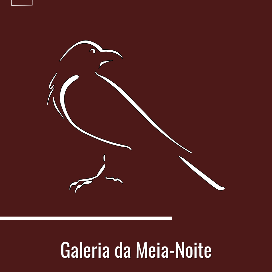 Curadoria da Meia-Noite