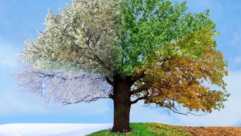Meteorological Vs Astronomical Seasons - What's the difference? | ITV News