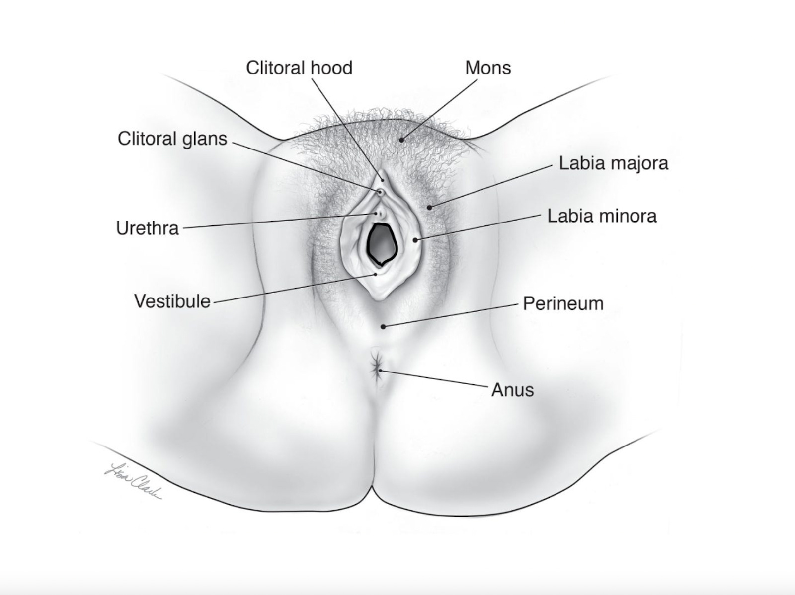 3D ichida jinsiy aloqa