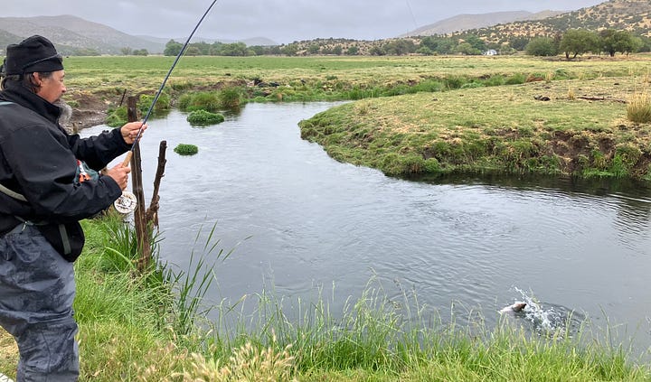 Four men in fly fishing gear stand in the sacramento mountains near the rio peñasco 