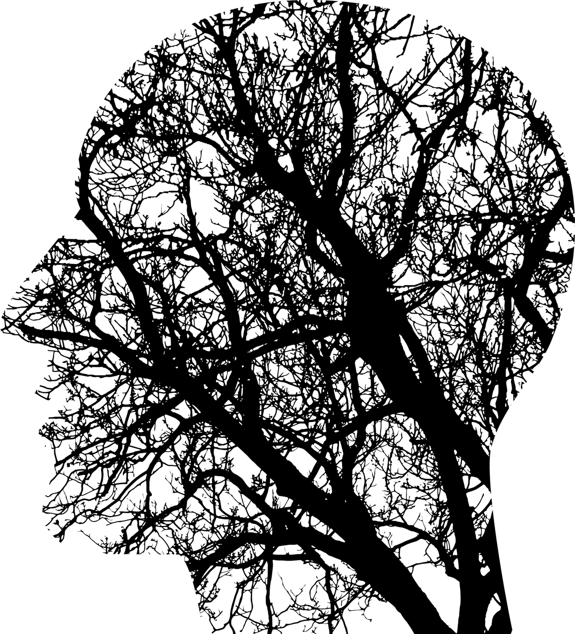 silhouette of head in profile made from tree branches