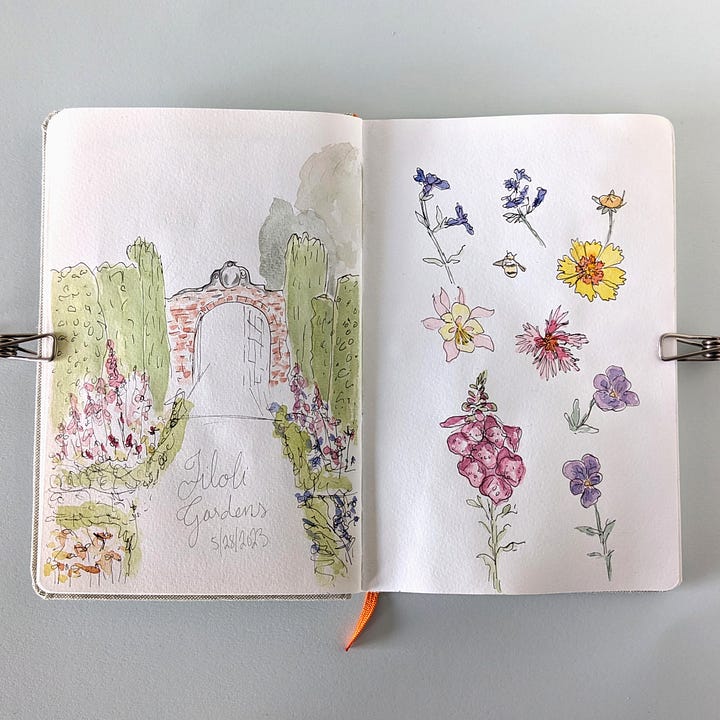 Four images from Shasta's 2023 100 Day Project. Images are spreads from watercolor notebooks.