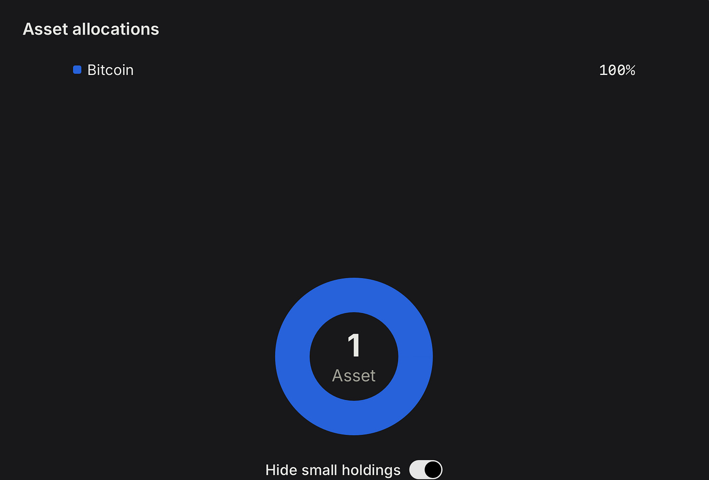 Portfolio allocation chart showing 100% allocation to Bitcoin as the only asset in the crypto portfolio.