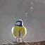User's avatar