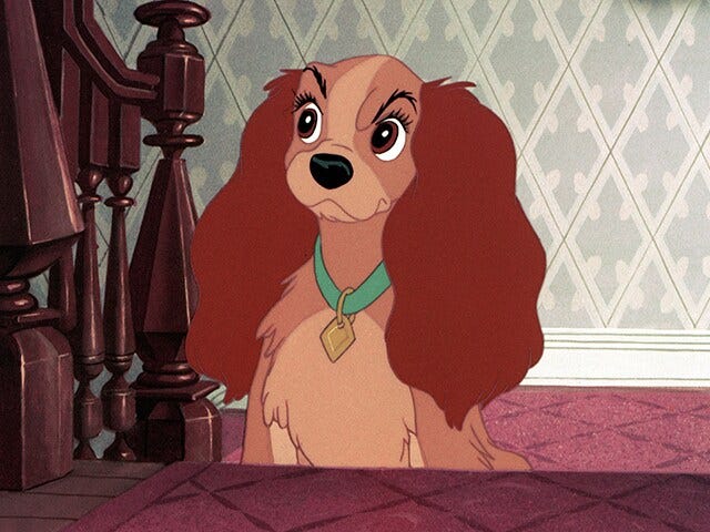Lady and the Tramp | Disney Movies