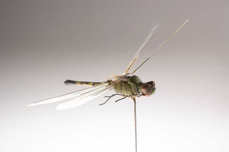 A different view of the Insectothopter