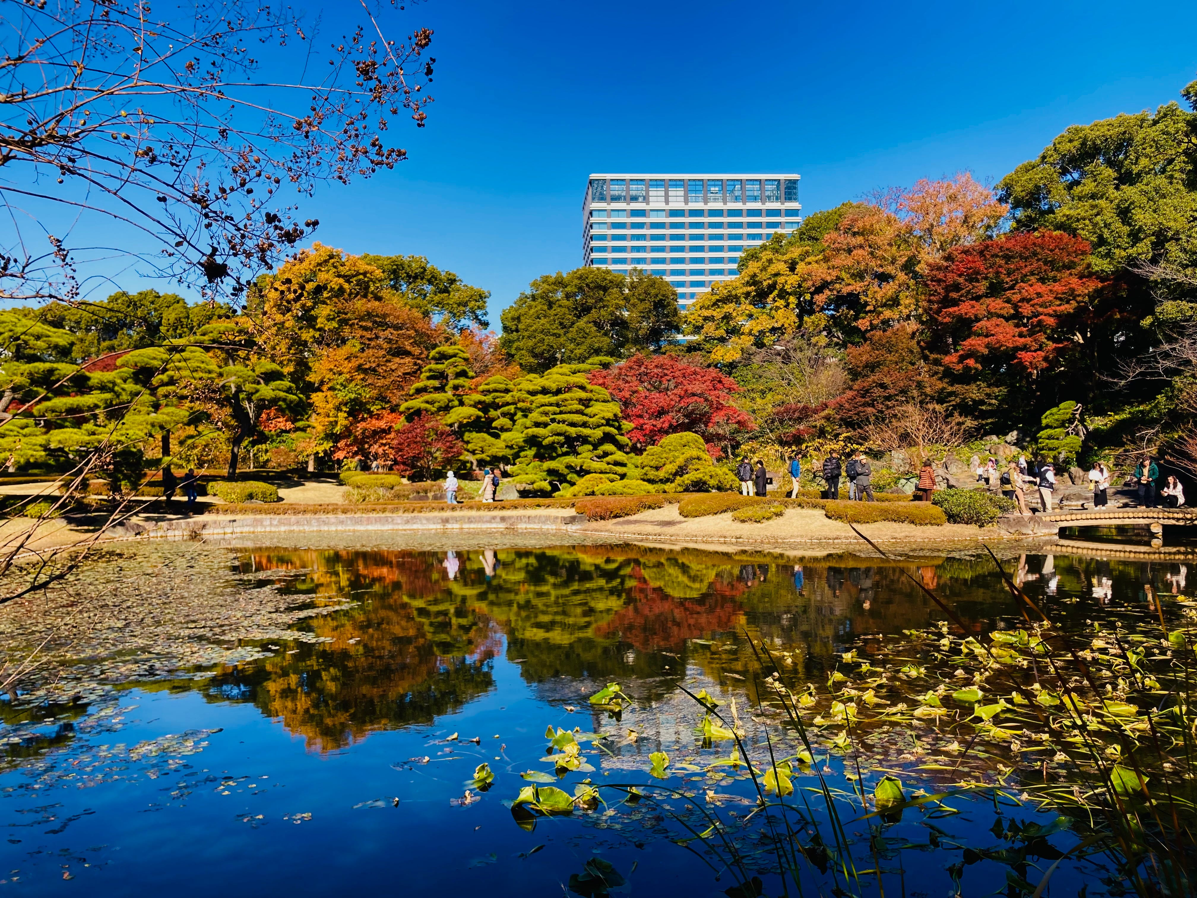 175 Autumn at Its Edge - by Hideo Tanikawa - Japan A to Z