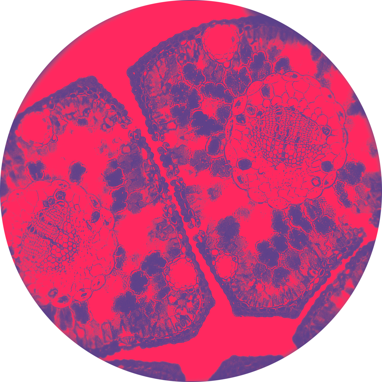 Artwork for Annealing by Foundry