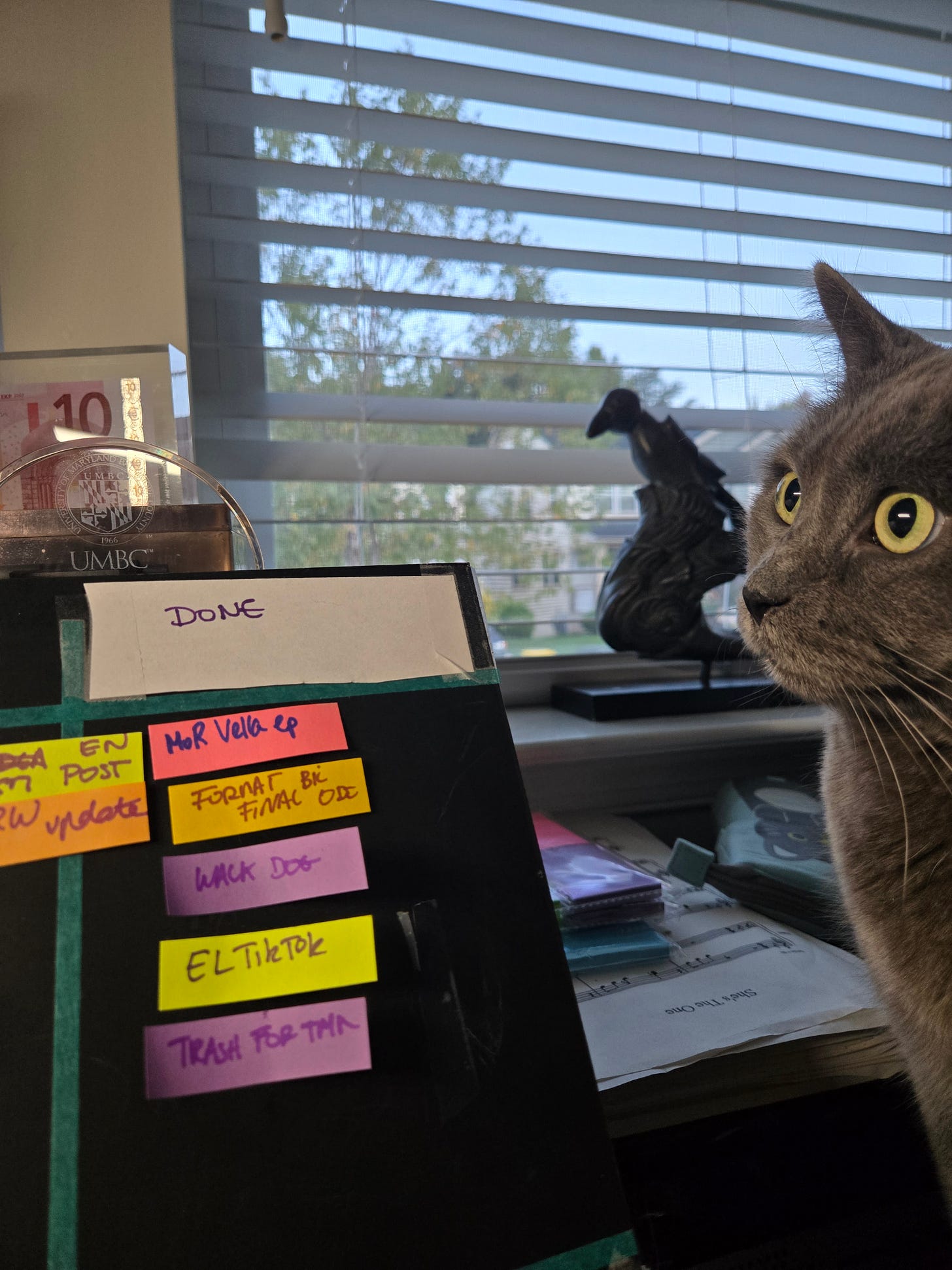 A Done Column And Bobbie Voltaire The Cat