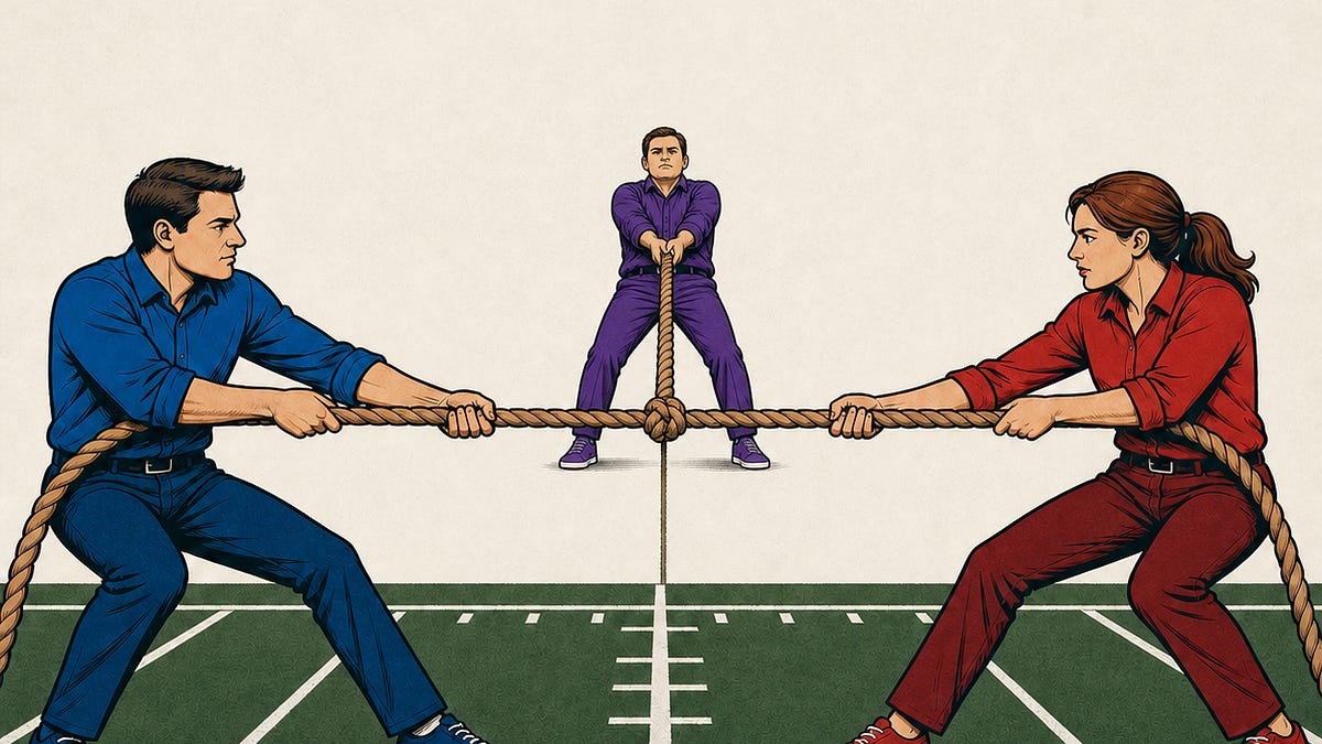 Could There Be a Third Party for Moderates?