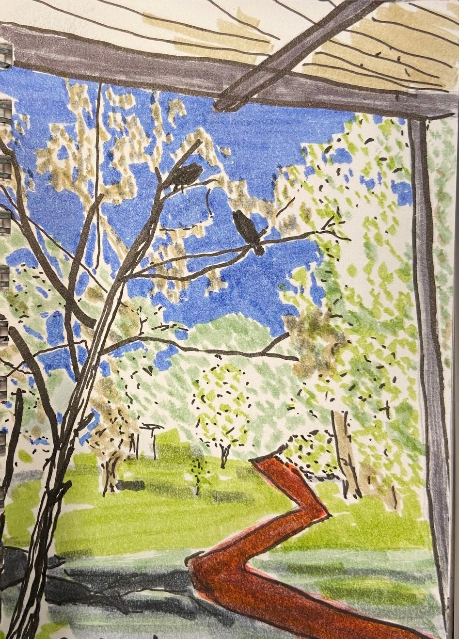 A sketchbook drawing in markers of a local wetland setting with blue sky, ravens, trees and the edge of a gazebo roof where the sketcher is looking outwards
