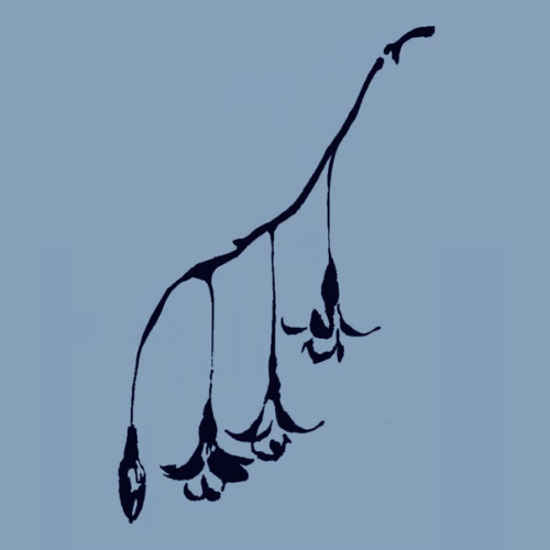 HOLY WOUND logo