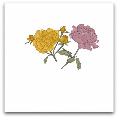 3 états intermédiaires de la création de l'illustration du mois de juillet avec une rose jaune et une rose rose