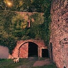 You’re not superhuman. Stop it