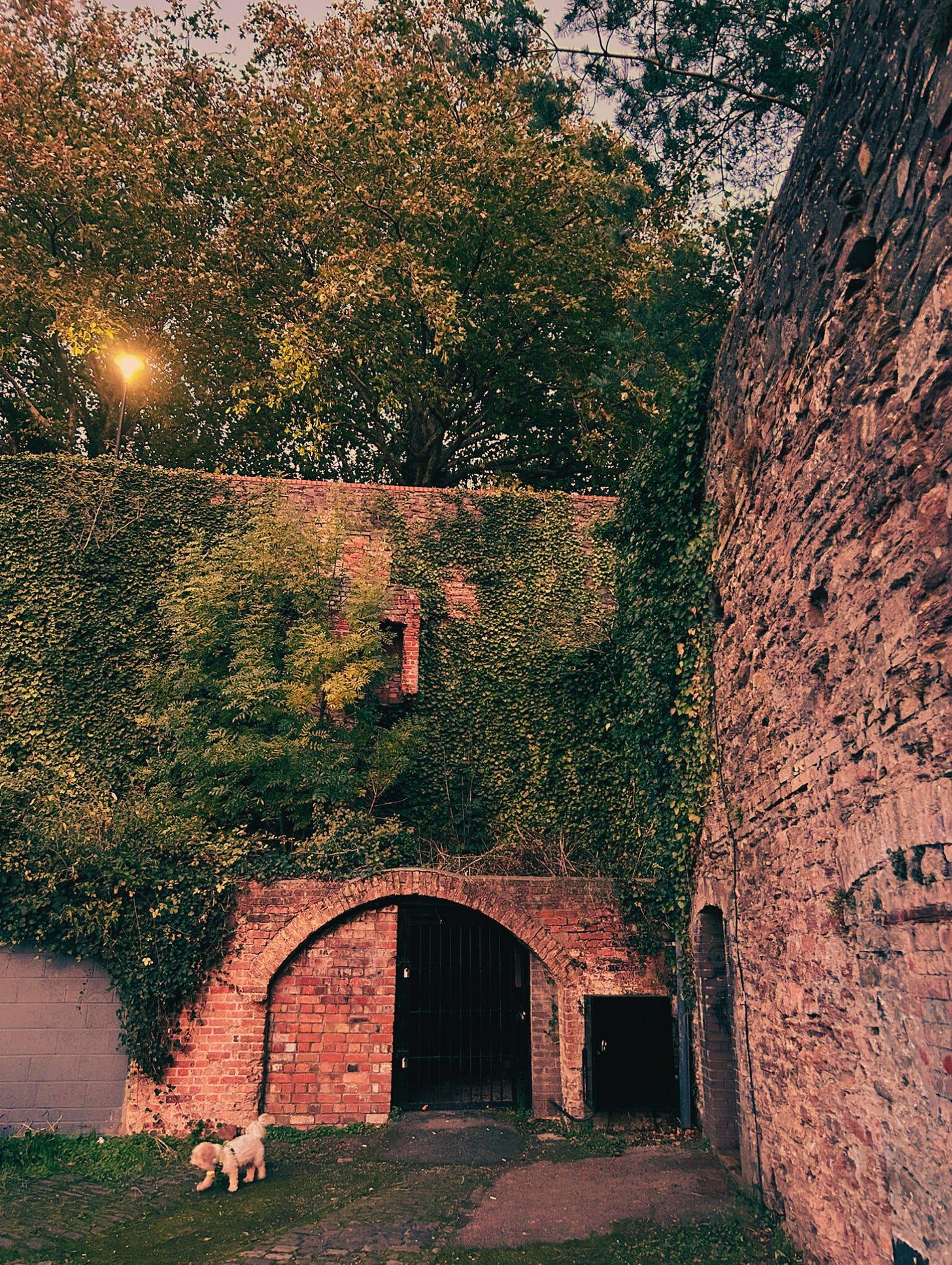 Bristol, UK, in autumn from Never Lost Letters by Stuart Found