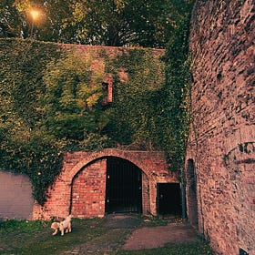 You’re not superhuman. Stop it