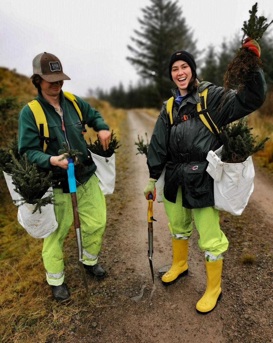 Two tree planters