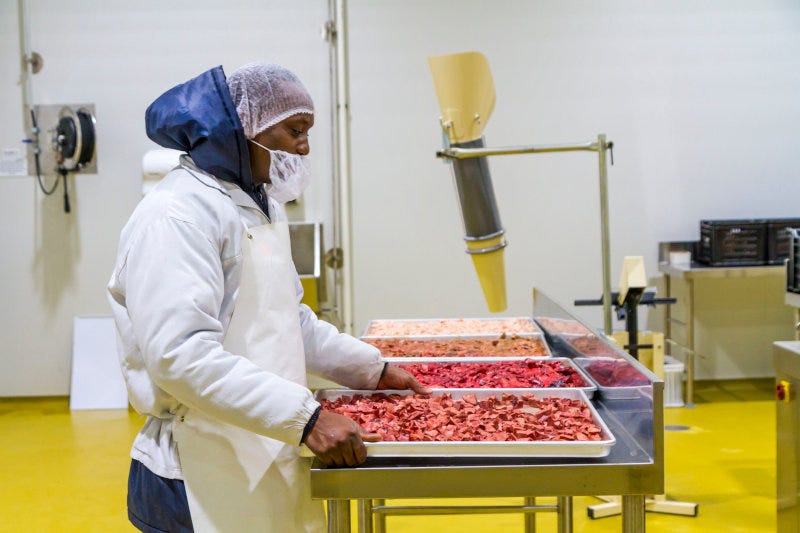 An employee at Maneli Pets' factory.