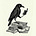 AA's avatar