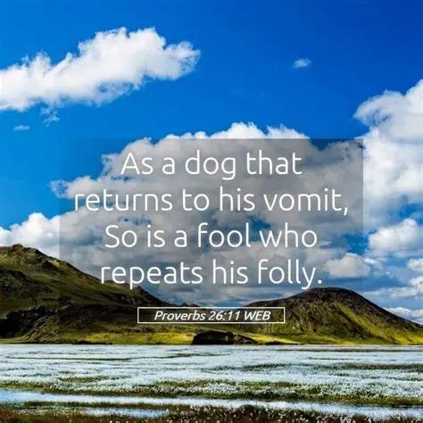 Proverbs 26:11 WEB Scriptures Images