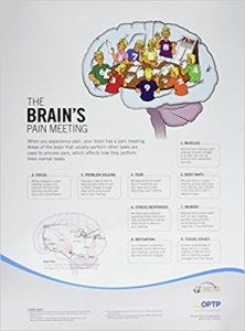 Brain's Board Meeting