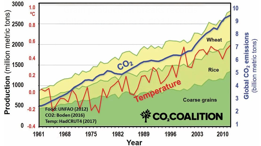 A graph showing the growth of co2 and carbon dioxide

AI-generated content may be incorrect.