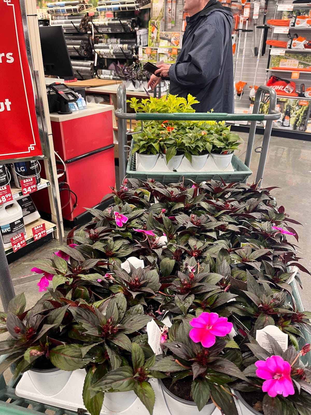 plants at check out