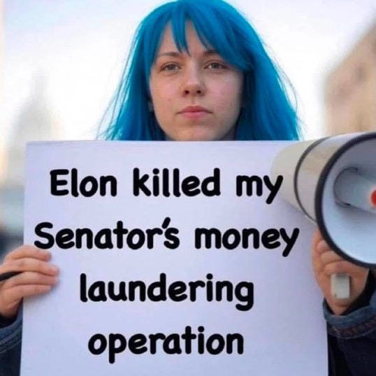 May be an image of 1 person and text that says 'Elon killed my Senator's money laundering operation'