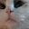 Amalthea Rose's avatar