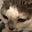 Grace's avatar