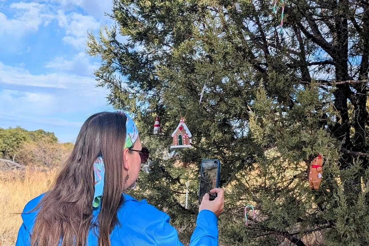 Taking a picture of the ornament on a tree in the woods