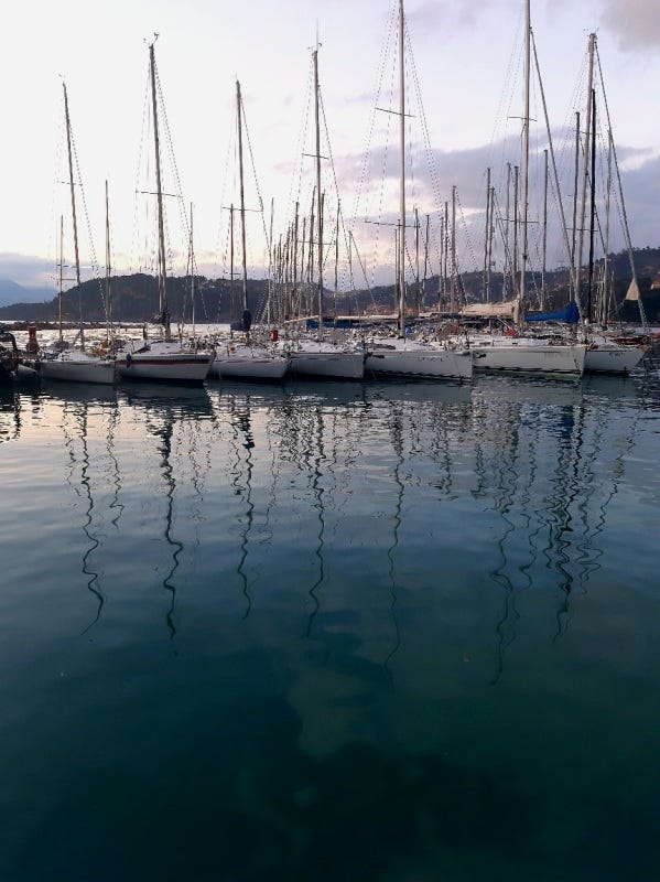 boats in Lerici