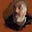 Alastair Muirhead's avatar