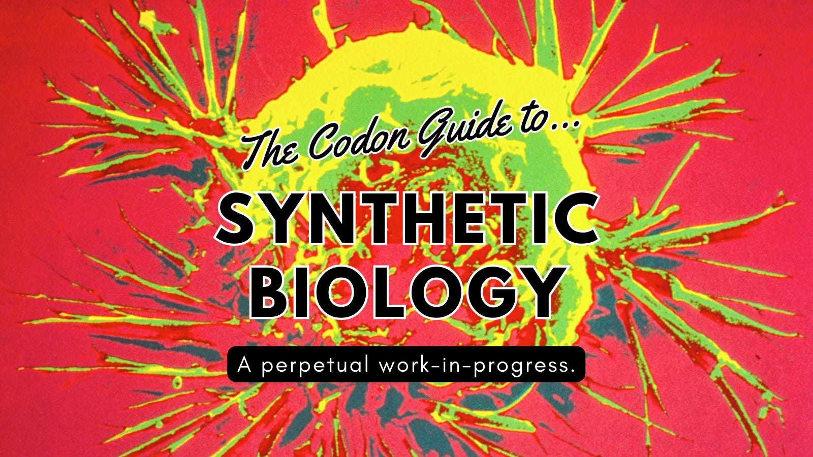 The Codon Guide to Synthetic Biology - Asimov Press