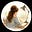 Aditisums's avatar