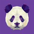 Panda Options's avatar
