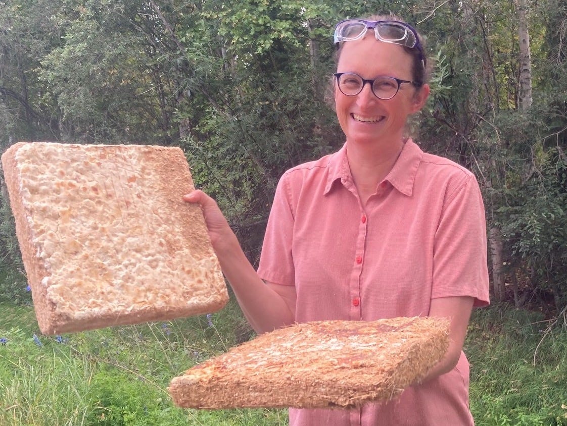 A woman holds two rough blocks of a tan-colored foam-like substance, each a little over one foot square and a few inches thick.