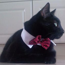 Condo Living Newsletter