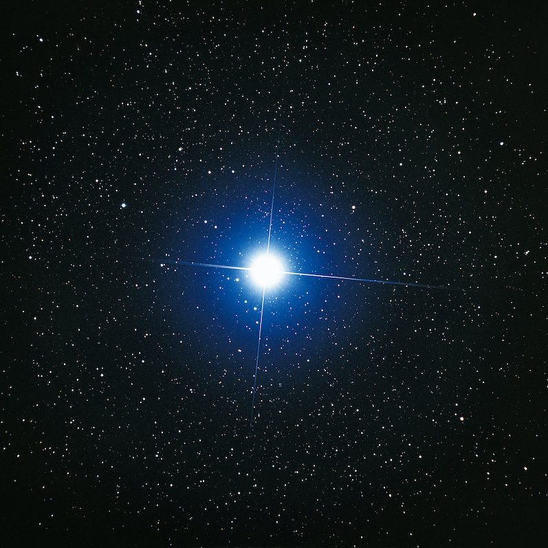 Where the Dog Star Rages